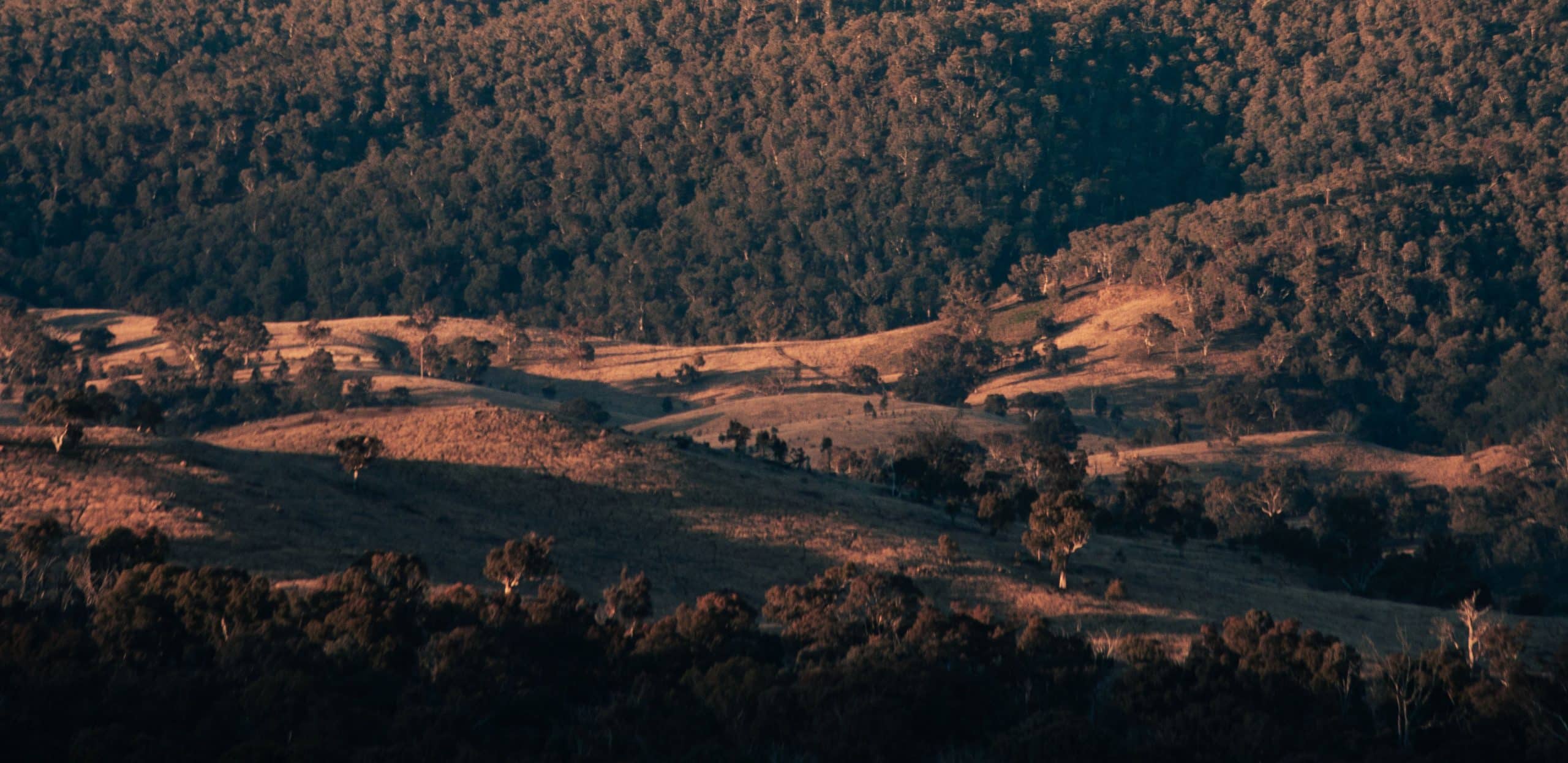 5 Benefits of Hosting a WanderPod