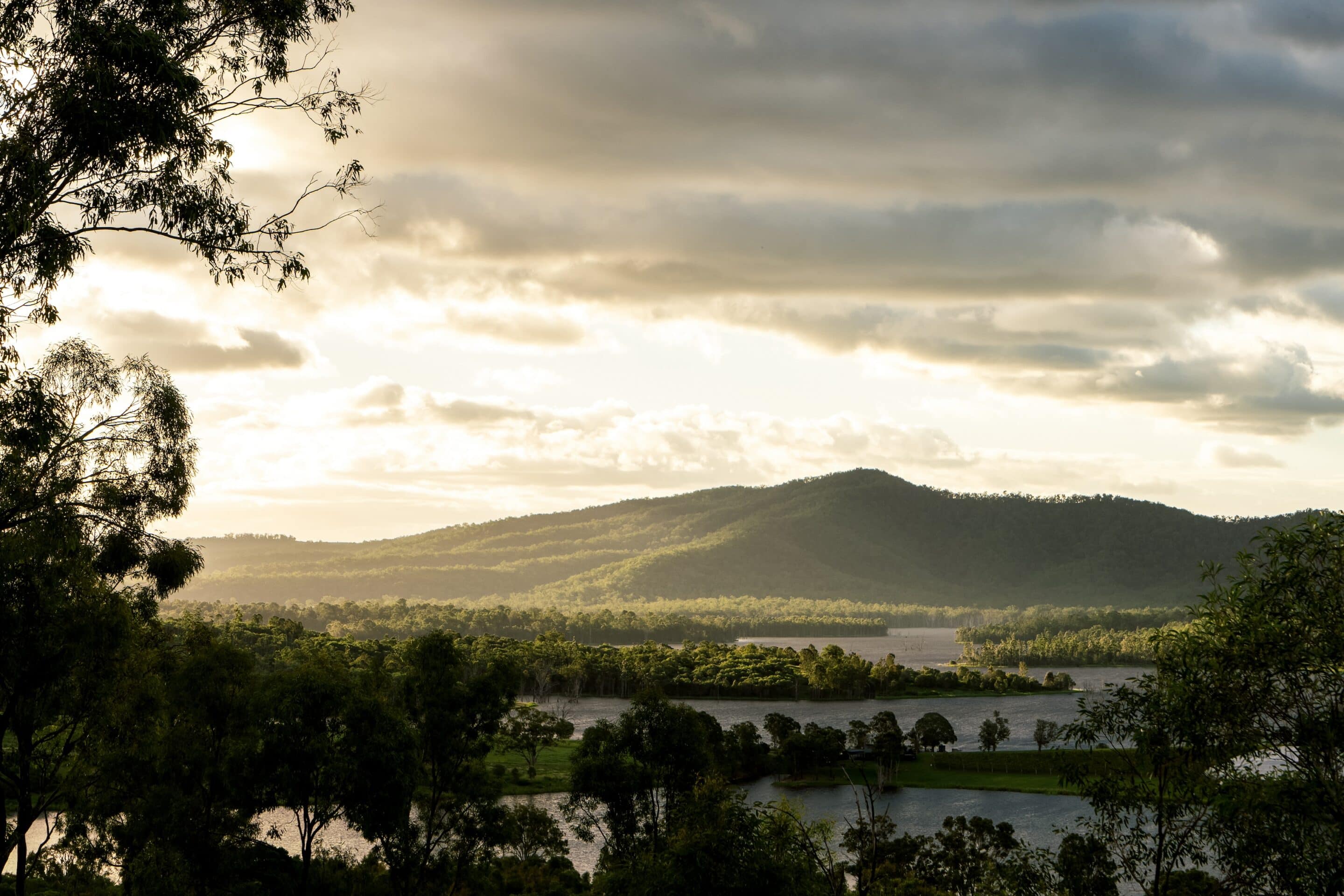 Sunlight over forested hills and water at sunrise, illustrating natural light cycles that help reset the body’s circadian rhythm.