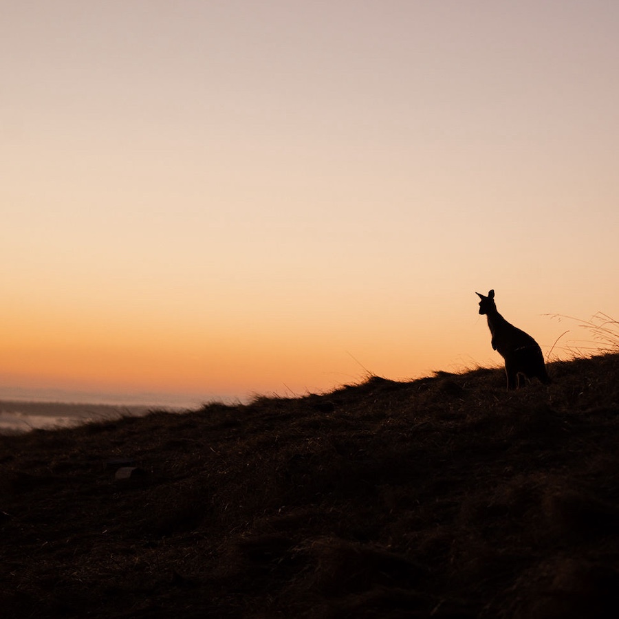 Wander on Kangaroo Island_Location_294_Credit_Ross Long