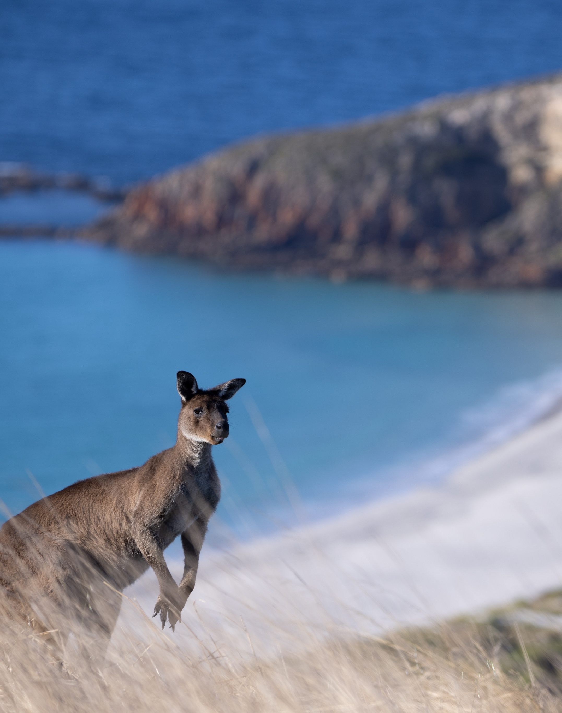Wander on Kangaroo Island_Location_88_Credit_Daylight Breaks