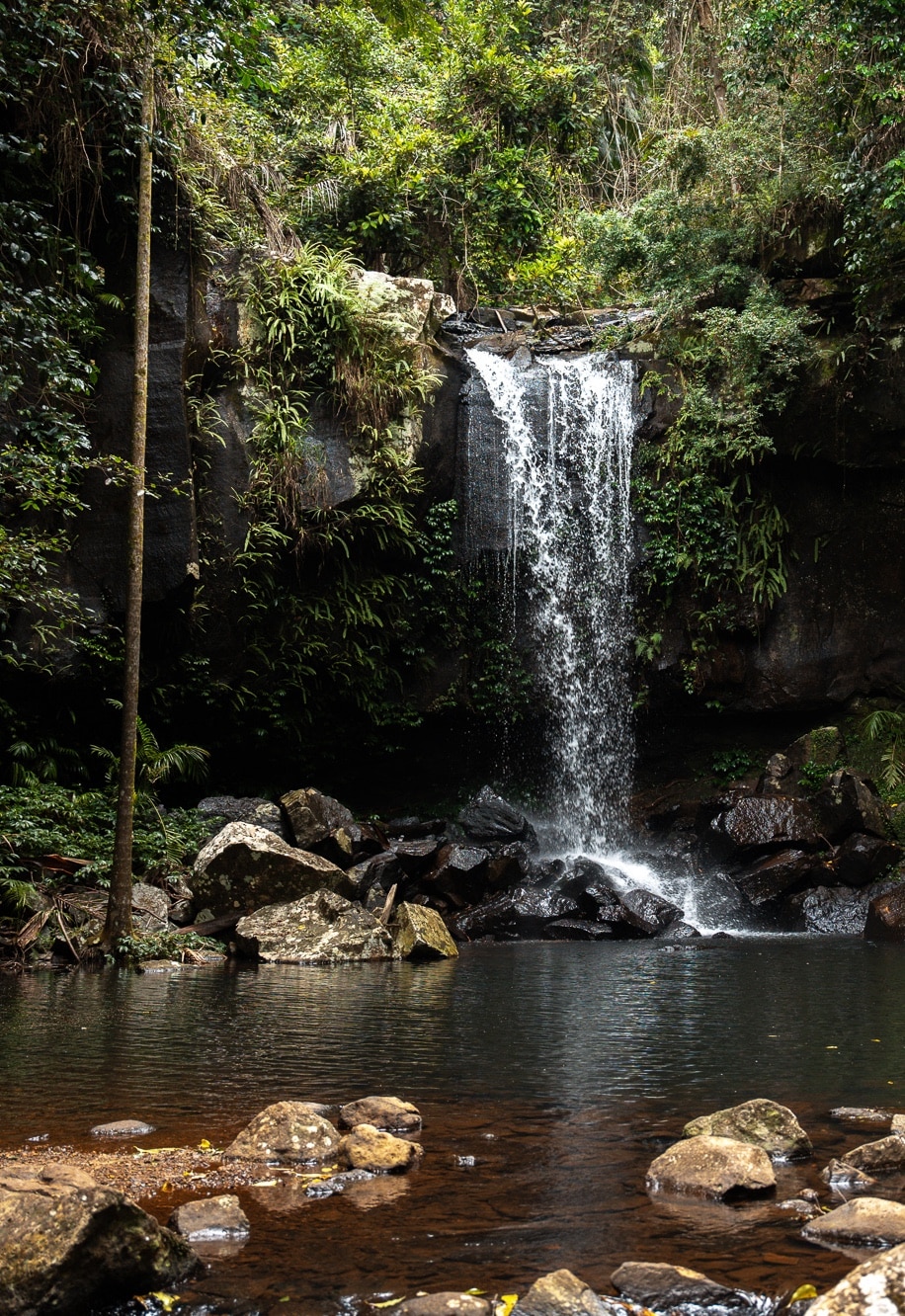 Curtis Falls Mt Tamborine