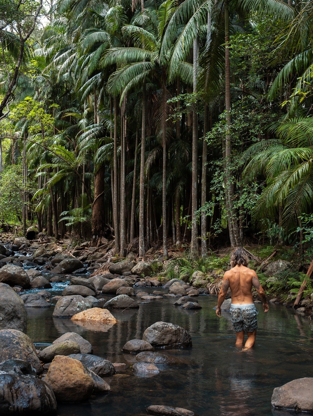 Cedar Creek Falls Mt Tamborine