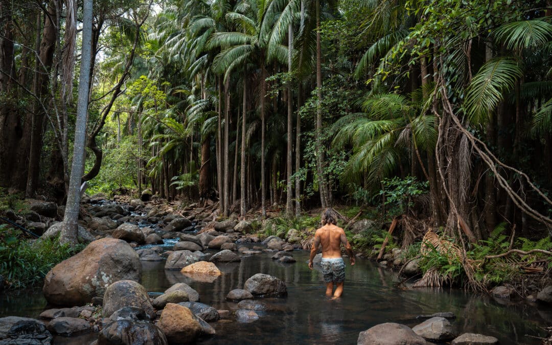 Wild Swimming in the Scenic Rim: The Best Swimming Holes, Lakes and Waterfalls