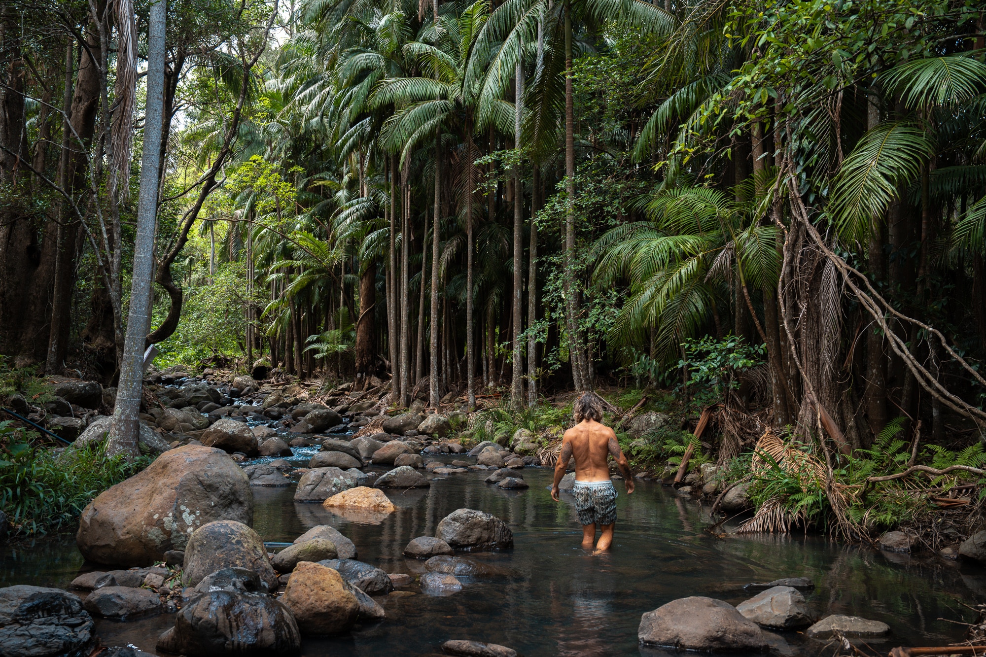 Christmas Creek Lamington National Park
