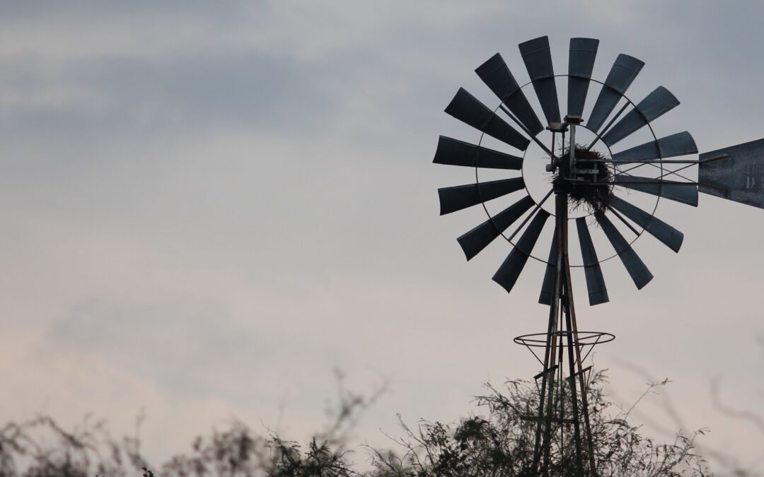 The Scenic Rim by Town: Boonah, Beaudesert, Canungra and Tamborine