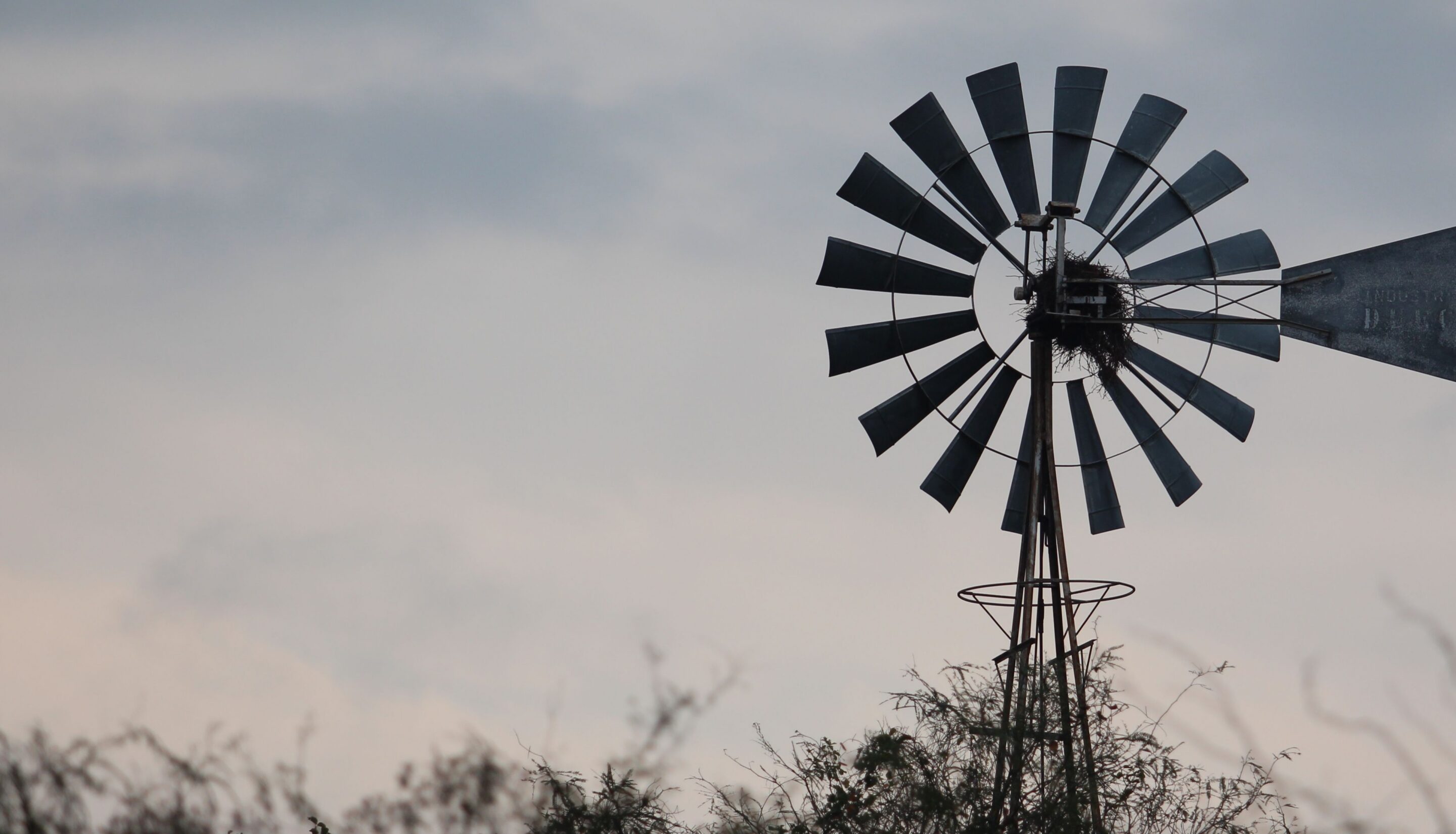 The Scenic Rim by Town: Boonah, Beaudesert, Canungra and Tamborine